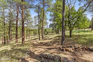 1392 Bouteloua, Flagstaff, AZ 86001 - Photo 68