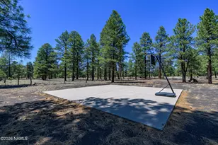10050 Dianna Pl, Flagstaff, AZ 86004 - Photo 18