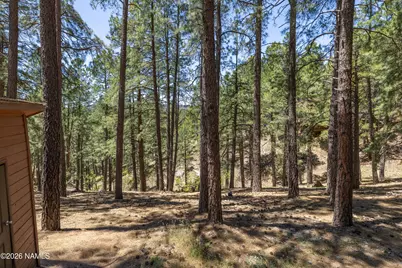 3134 Shonto Trail, Flagstaff, AZ 86005 - Photo 30