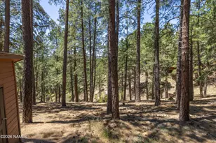 3134 Shonto Trail, Flagstaff, AZ 86005 - Photo 30