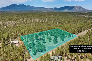 5330 S Cassandra Blvd, Flagstaff, AZ 86005 - Photo 96