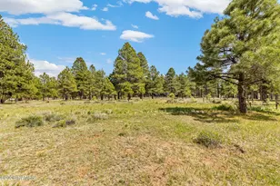 5330 S Cassandra Blvd, Flagstaff, AZ 86005 - Photo 86
