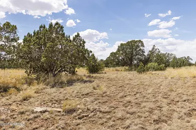 911 S Wedgewood Drive, Williams, AZ 86046 - Photo 16