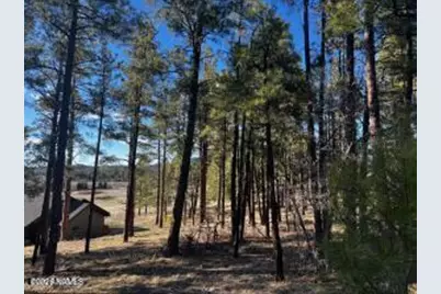 1021 Stone Hollow Loop #2, Williams, AZ 86046 - Photo 6