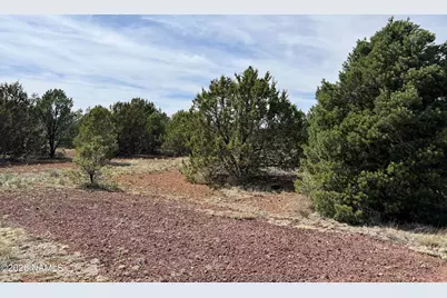 7801 N Sycamore Drive, Williams, AZ 86046 - Photo 4