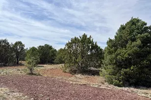 7801 N Sycamore Dr, Williams, AZ 86046 - Photo 4