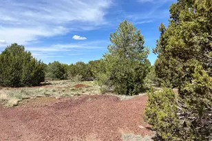 7801 N Sycamore Dr, Williams, AZ 86046 - Photo 6