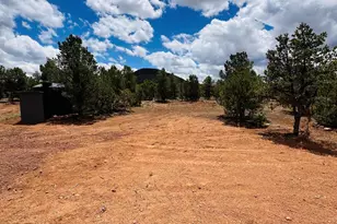 1298 E Ventura Ave, Williams, AZ 86046 - Photo 30