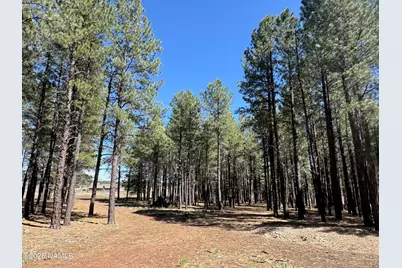 8252 Vista Peak Way, Flagstaff, AZ 86001 - Photo 8