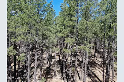 9576 Ranch At The Peaks Way, Flagstaff, AZ 86001 - Photo 6