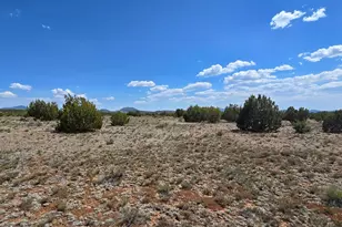 227 Mountain Cat Rd, Williams, AZ 86046 - Photo 1
