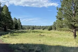 4505 E Spring Meadows Cir, Flagstaff, AZ 86004 - Photo 22