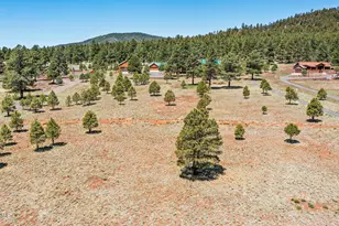 1721 S Minstrel Ln, Williams, AZ 86046 - Photo 92