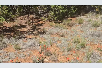 8012 Daisy Drive, Williams, AZ 86046 - Photo 12