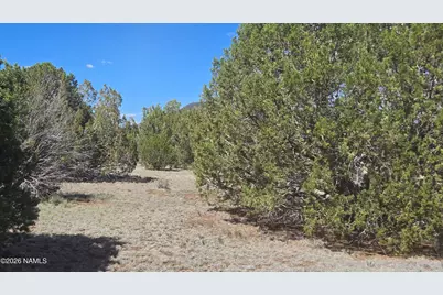 8012 Daisy Drive, Williams, AZ 86046 - Photo 18