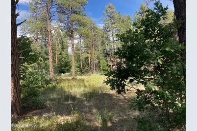 17375 Crystal Brook Place, Munds Park, AZ 86017 - Photo 2