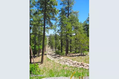 1039 Timbernook, Williams, AZ 86046 - Photo 4
