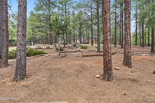 4801 E Green Mountain Dr, Flagstaff, AZ 86004 - Photo 30