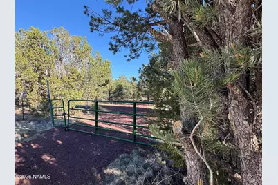 1302 E Bluebell Street, Williams, AZ 86046 - Photo 4