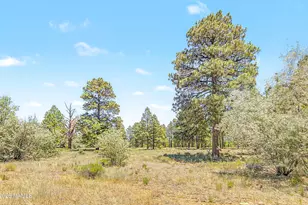 2008 N Fox Hill Rd, Flagstaff, AZ 86004 - Photo 10
