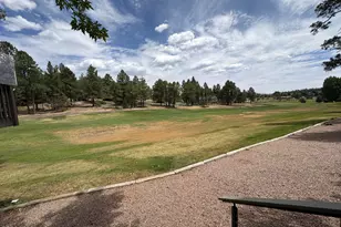 2900 N Saddleback Way, Flagstaff, AZ 86004 - Photo 36