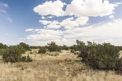 851 S Wyandotte Road, Williams, AZ 86046 - Photo 24
