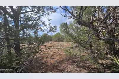 5476 N Forest Line Road, Williams, AZ 86046 - Photo 10