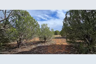 5476 N Forest Line Road, Williams, AZ 86046 - Photo 14