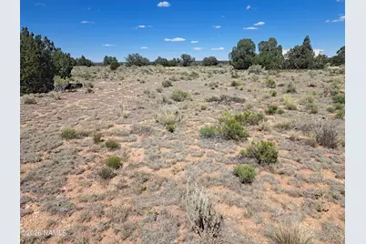 2089 S Columbine Street, Williams, AZ 86046 - Photo 14