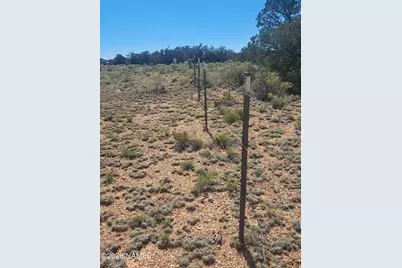 2089 S Columbine Street, Williams, AZ 86046 - Photo 10
