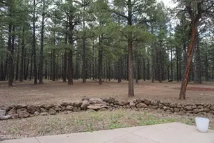 389 N Laramy Ln, Parks, AZ 86018 - Photo 38