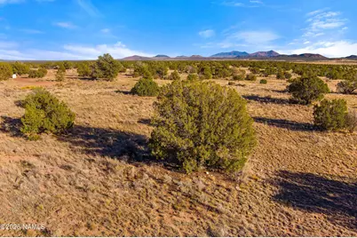 3916 S Madera Drive, Williams, AZ 86046 - Photo 14