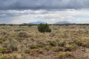 3975 E Silver Vly Rd, Williams, AZ 86046 - Photo 1