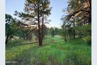 000 Osage, Flagstaff, AZ 86005 - Photo 6