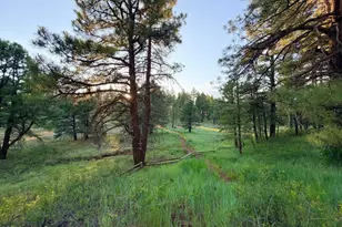 000 Osage, Flagstaff, AZ 86005 - Photo 6