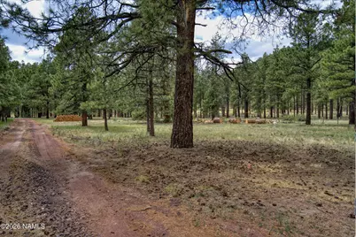 12847 E Dream Acres Lane, Williams, AZ 86046 - Photo 26