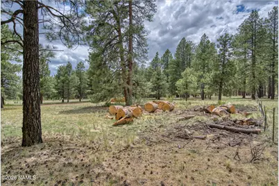 12847 E Dream Acres Lane, Williams, AZ 86046 - Photo 22
