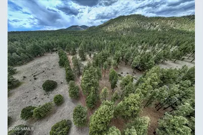 12847 E Dream Acres Lane, Williams, AZ 86046 - Photo 6