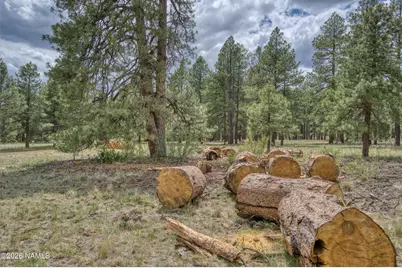 12847 E Dream Acres Lane, Williams, AZ 86046 - Photo 12