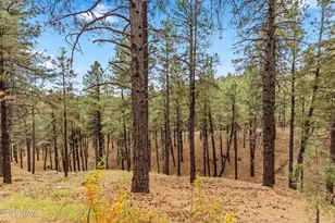 2743 Bacobi Ovi, Flagstaff, AZ 86005 - Photo 34