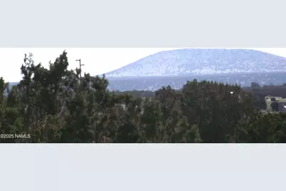 3725 S Carmen Road, Williams, AZ 86046 - Photo 6