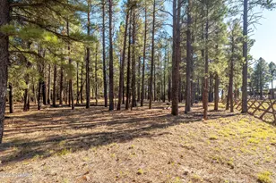 2500 W Route 66, Flagstaff, AZ 86001 - Photo 24