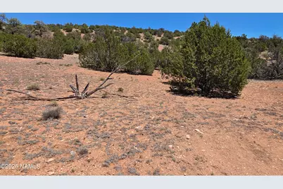 9966 Northstar Road, Williams, AZ 86046 - Photo 14