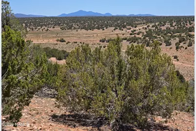 9966 Northstar Road, Williams, AZ 86046 - Photo 32