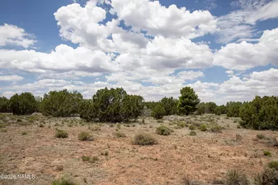 5124 N Wilshire Drive, Williams, AZ 86046 - Photo 6