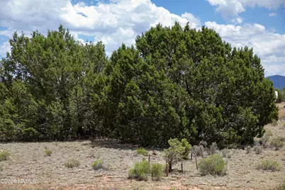 5124 N Wilshire Drive, Williams, AZ 86046 - Photo 12