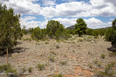 5124 N Wilshire Drive, Williams, AZ 86046 - Photo 8