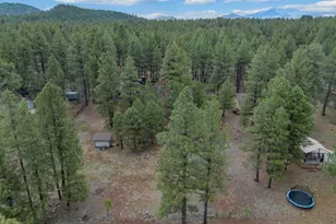 13050 E Fallow Deer Rd, Parks, AZ 86018 - Photo 42