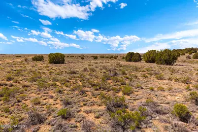 2978 S Lowell Drive, Williams, AZ 86046 - Photo 30