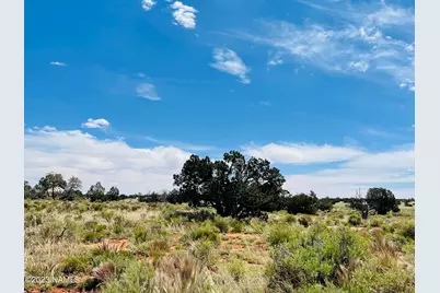 625, 699, 737, 775 N Laguna Drive #4 Lots, Williams, AZ 86046 - Photo 38